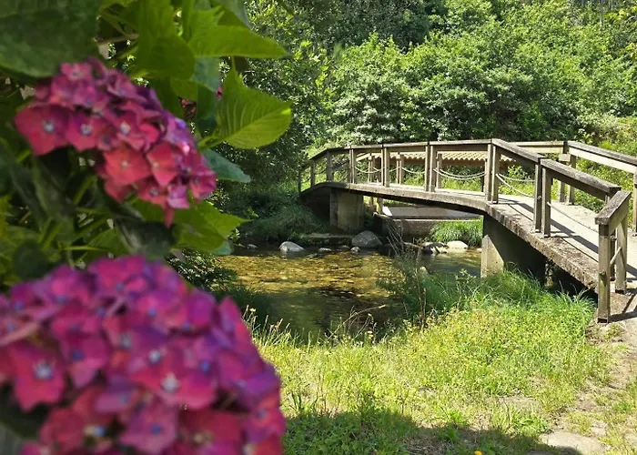 Campomuinos Дом отдыха Пуэбла-дель-Караминьяль