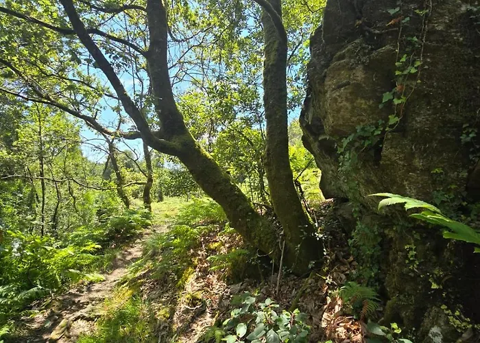 Дом отдыха Campomuinos Пуэбла-дель-Караминьяль